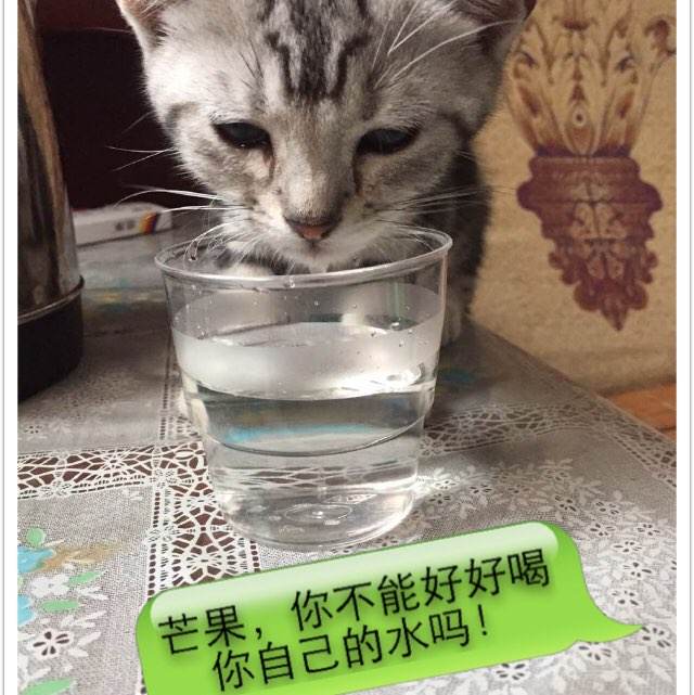 办理鲍曼莫斯科国立技术大学毕业证